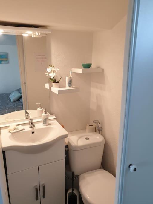 Appartement Duplexe De 1 A 4 Chambres Privees Dans Maison Le Teil Zewnętrze zdjęcie
