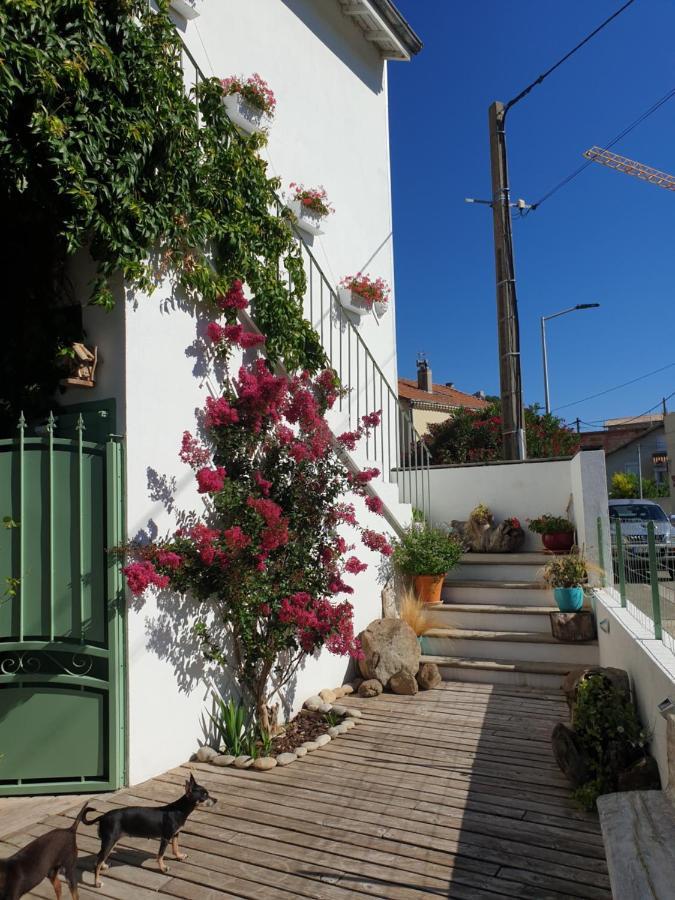 Appartement Duplexe De 1 A 4 Chambres Privees Dans Maison Le Teil Zewnętrze zdjęcie